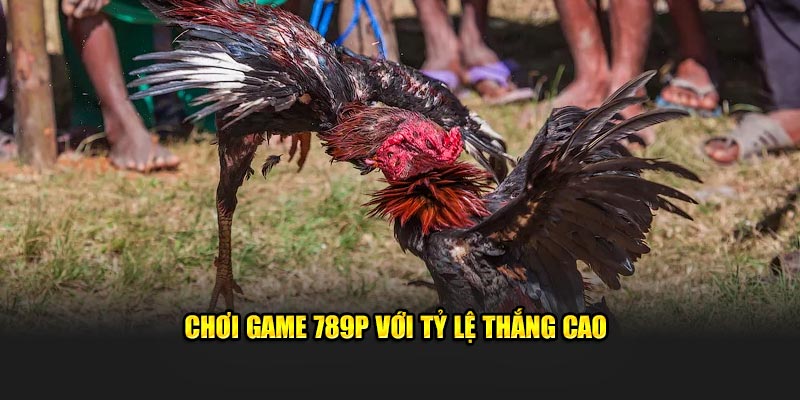 Chơi game 789P với tỷ lệ thắng cao