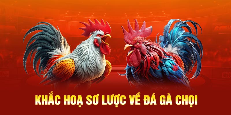 Khắc hoạ sơ lược về đá gà chọi