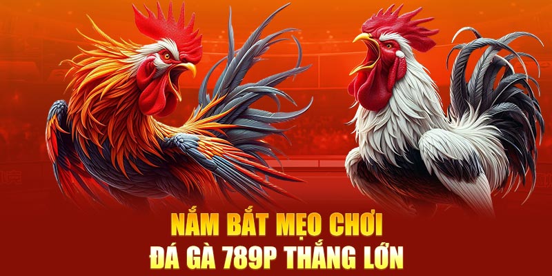 Nắm bắt mẹo chơi đá gà 789P thắng lớn